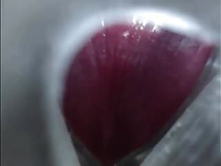 gay fleshlight